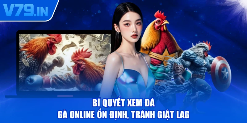 Bí quyết xem đá gà online ổn định, tránh giật lag