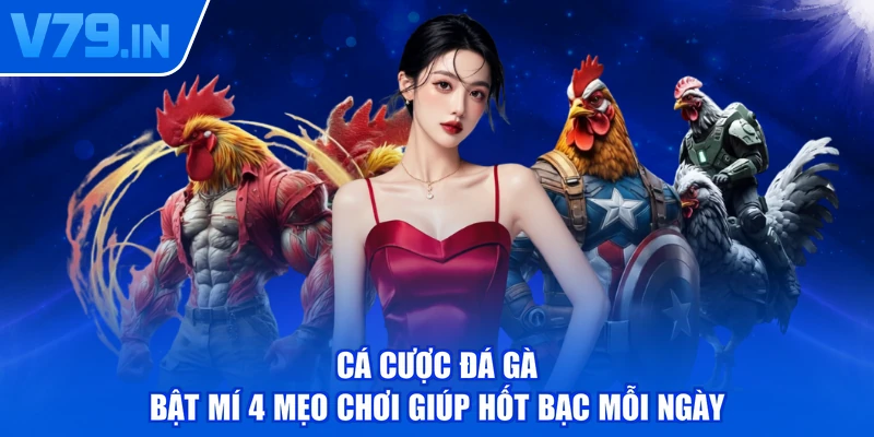 Cá Cược Đá Gà - Bật Mí 4 Mẹo Chơi Giúp Hốt Bạc Mỗi Ngày