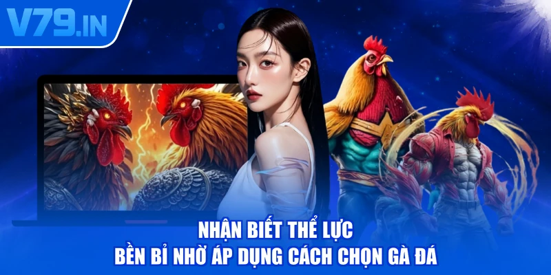 Nhận biết thể lực bền bỉ nhờ áp dụng cách chọn gà đá