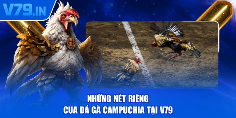 Những nét riêng của đá gà Campuchia tại V79