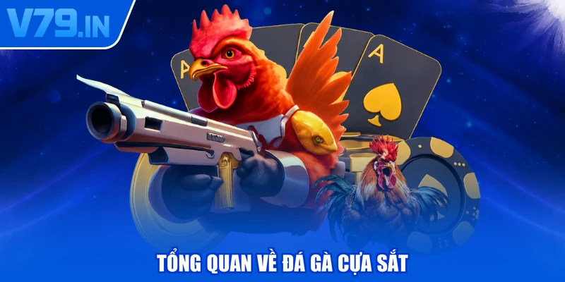 Tổng quan về đá gà cựa sắt